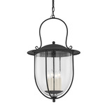 Monterey County Outdoor Pendant - French Iron / Clear Seeded