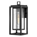 Republic 12V Outdoor Wall Sconce - Black / Clear Seedy