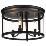 Payton Ceiling Light - Matte Black / Clear