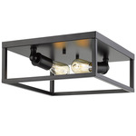 Wesson Ceiling Light - Matte Black