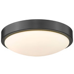 Gabi Ceiling Light - Matte Black / Opal