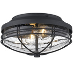 Seaport Outdoor Ceiling Light - Natural Black / Clear Seeded
