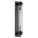 Roope 120V Outdoor Wall Sconce - Noir / Clear Seeded