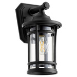 Haley 120V Outdoor Wall Sconce - Noir / Clear