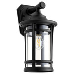 Haley 120V Outdoor Wall Sconce - Noir / Clear