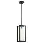 Parks 120V Outdoor Pendant - Noir / Clear