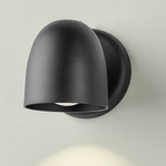 Speers Outdoor Wall Sconce - Black / Clear