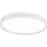 Lite Hole Ceiling Light / Wall Sconce - White / Opal