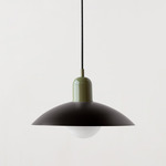 Arundel Orb Pendant - Reed Green / Black Shade