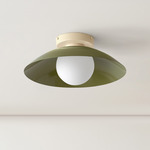Arundel Orb Surface Mount - Bone Canopy / Reed Green Shade