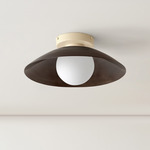 Arundel Orb Surface Mount - Bone Canopy / Patina Brass Shade
