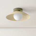 Arundel Orb Surface Mount - Reed Green Canopy / Bone Shade