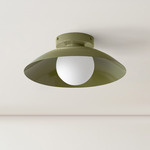 Arundel Orb Surface Mount - Reed Green Canopy / Reed Green Shade