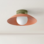 Arundel Orb Surface Mount - Reed Green Canopy / Peach Shade