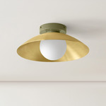 Arundel Orb Surface Mount - Reed Green Canopy / Brass Shade