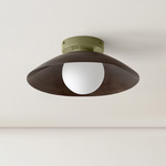 Arundel Orb Surface Mount - Reed Green Canopy / Patina Brass Shade