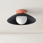 Arundel Orb Surface Mount - Peach Canopy / Black Shade