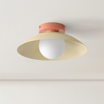 Arundel Orb Surface Mount - Peach Canopy / Bone Shade