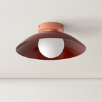 Arundel Orb Surface Mount - Peach Canopy / Oxide Red Shade