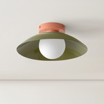 Arundel Orb Surface Mount - Peach Canopy / Reed Green Shade