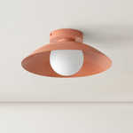 Arundel Orb Surface Mount - Peach Canopy / Peach Shade