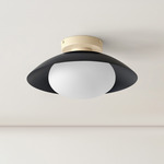 Arundel Mushroom Surface Mount - Bone Canopy / Black Shade