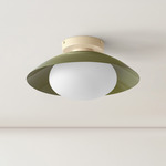 Arundel Mushroom Surface Mount - Bone Canopy / Reed Green Shade