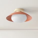 Arundel Mushroom Surface Mount - Bone Canopy / Peach Shade