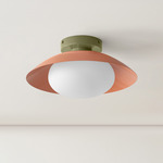 Arundel Mushroom Surface Mount - Reed Green Canopy / Peach Shade