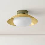 Arundel Mushroom Surface Mount - Reed Green Canopy / Brass Shade