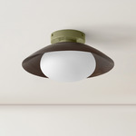 Arundel Mushroom Surface Mount - Reed Green Canopy / Patina Brass Shade