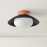 Arundel Mushroom Surface Mount - Peach Canopy / Black Shade