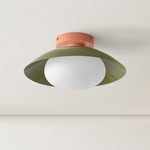 Arundel Mushroom Surface Mount - Peach Canopy / Reed Green Shade