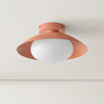 Arundel Mushroom Surface Mount - Peach Canopy / Peach Shade