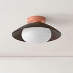 Arundel Mushroom Surface Mount - Peach Canopy / Patina Brass Shade