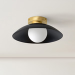 Arundel Orb Surface Mount - Brass Canopy / Black Shade