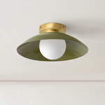 Arundel Orb Surface Mount - Brass Canopy / Reed Green Shade