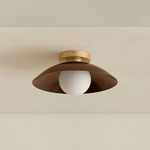 Brass Arundel Orb Surface Mount - Brass Canopy / Patina Brass Shade