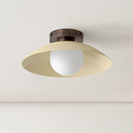 Arundel Orb Surface Mount - Patina Brass Canopy / Bone Shade