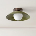 Arundel Orb Surface Mount - Patina Brass Canopy / Reed Green Shade