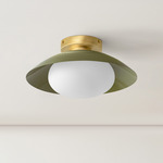 Arundel Mushroom Surface Mount - Brass Canopy / Reed Green Shade