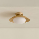 Brass Arundel Mushroom Surface Mount - Brass Canopy / Brass Shade