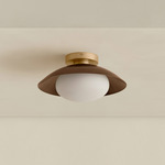 Arundel Mushroom Surface Mount - Brass Canopy / Patina Brass Shade