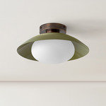 Arundel Mushroom Surface Mount - Patina Brass Canopy / Reed Green Shade