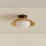 Brass Arundel Mushroom Surface Mount - Patina Brass Canopy / Brass Shade