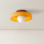 Disc Orb Surface Mount - Oxide Red Canopy / Sandblasted Amber