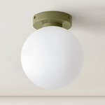 Orb Surface Mount - Reed Green / White