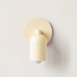 Fixed Down Slim Wall Sconce - Bone / Bone