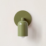 Fixed Down Slim Wall Sconce - Reed Green / Reed Green