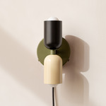 Up Down Plug-In Wall Sconce - Reed Green Canopy / Black Upper Shade